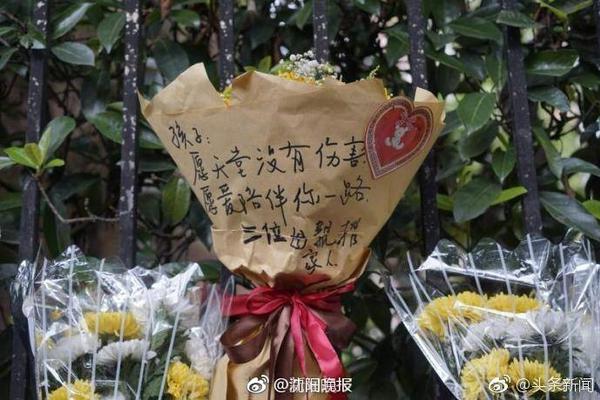 字母哥打控卫？雄鹿GM：这是我们的建队方向 字母哥还在进化